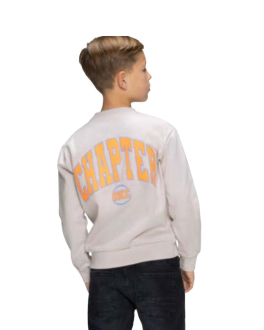 Felpa girocollo ragazzo 16 anni con stampa CHAPTER sul retro, colore chiaro e design moderno