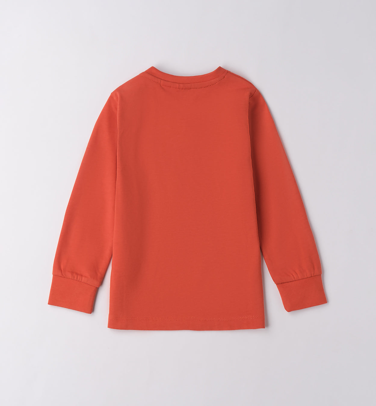 Maglietta terracotta bimbo maniche lunghe Sarabanda vista retro in cotone morbido per uso quotidiano