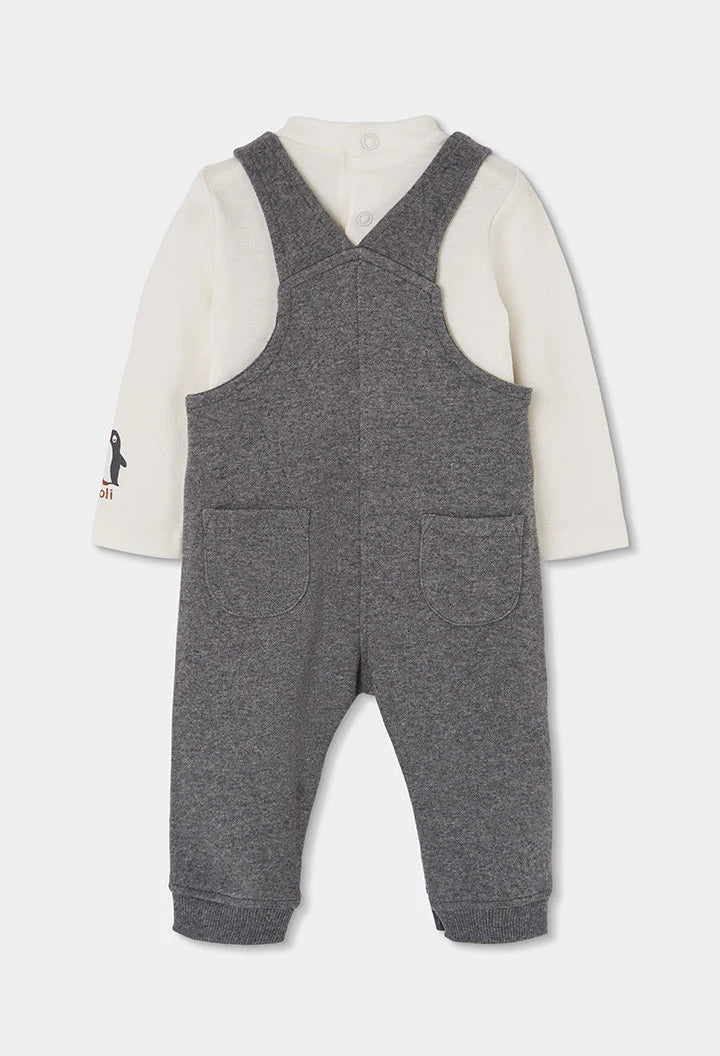 Completo neonato grigio vigoré stampa pinguino