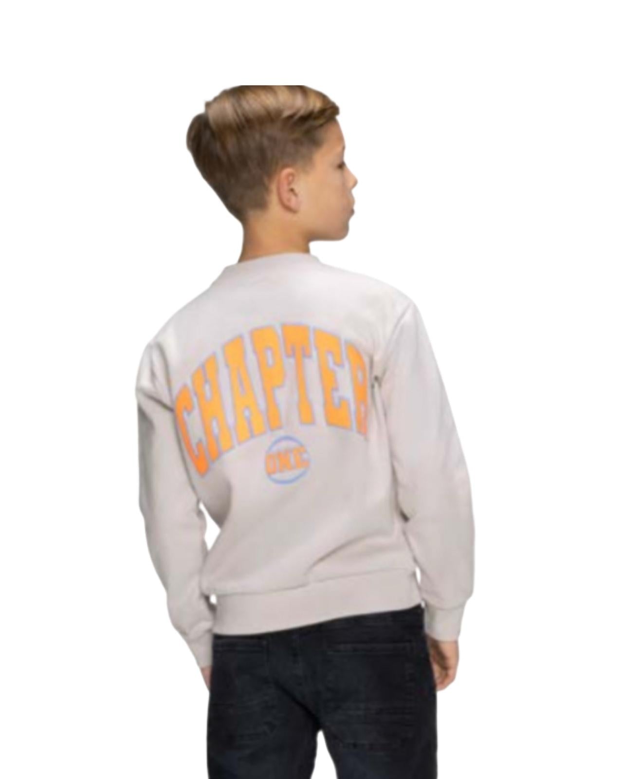 Felpa girocollo ragazzo 16 anni con stampa CHAPTER sul retro, colore chiaro e design moderno