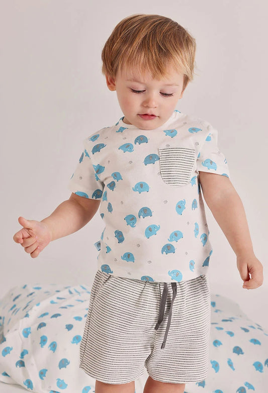 Completo Neonato in Cotone con Elefantini Azzurri - BOBOLI - OOPS by BabyBimbo 0-16